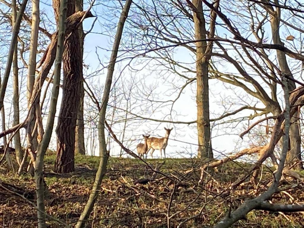 Overnachten In Zeeland Burgh-Haamstede Buitenkant foto